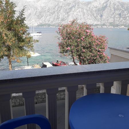 Apartmants Alexander Apartment Kotor Ngoại thất bức ảnh