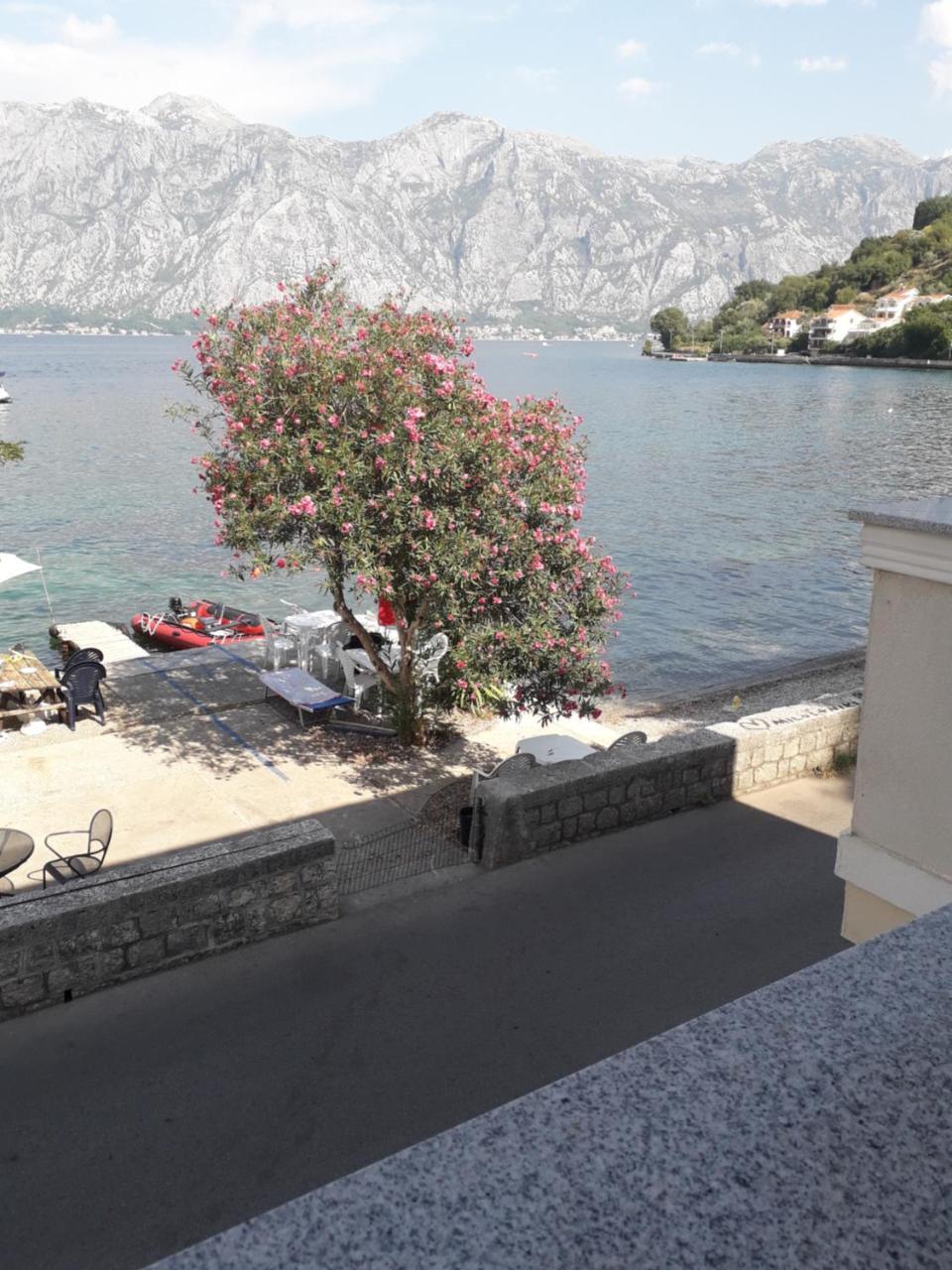 Apartmants Alexander Apartment Kotor Ngoại thất bức ảnh